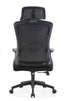 ErgoMesh Executive Chair β YOE 64