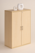 Medium Swing Door Wooden Cabinet