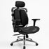 Ergonomic Dual-Back Mesh Chair - YOE A10