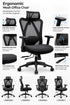 Mesh Chair with Adjustable Lumbar Support - YOE F62