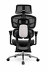 HexaPro Ergonomic Chair - YOE S1
