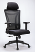 YOE 55 - Mesh Chair With Adjustable Armrest
