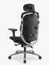 Ergonomic Dual-Back Mesh Chair - YOE A10