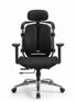 Ergonomic Dual-Back Mesh Chair - YOE A10