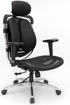 Ergonomic Dual-Back Mesh Chair - YOE A10