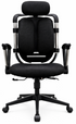 YOE A8 - Korean Design Ergonomic Chair