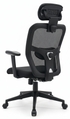 Mesh Chair With Armrest - YOE V42