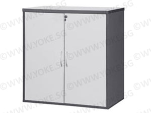 Low Swing Door Cabinet